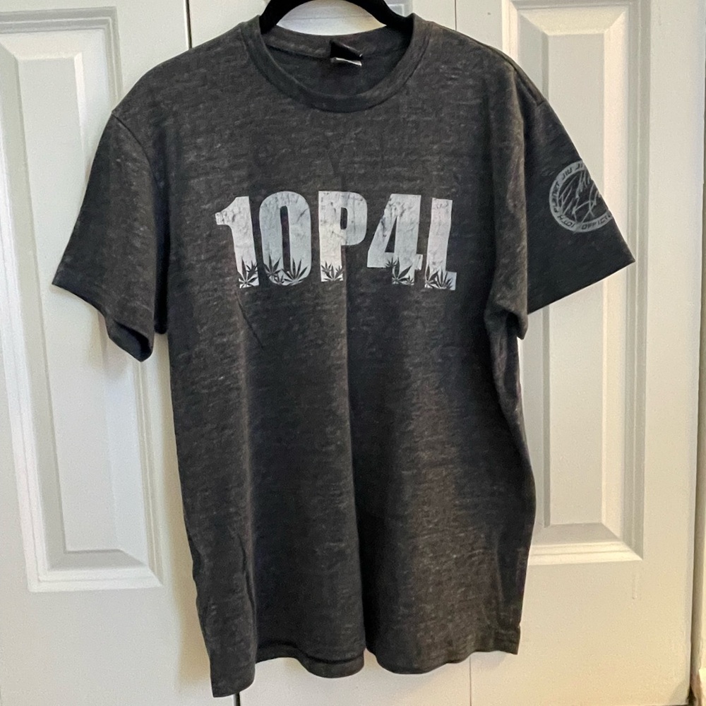 10th Planet Jiu Jitsu Men's Gray Graphic T-Shirt - small